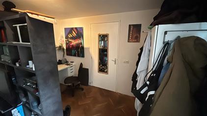 Room for rent 500 euro Hippolytusbuurt, Delft