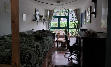 Room for rent 840 euro Eusebiusbuitensingel, Arnhem