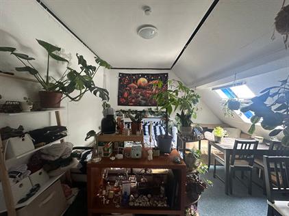 Kamer te huur 33 euro Gijzenrooi, Geldrop