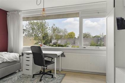 Room for rent 550 euro Weezenhof, Nijmegen