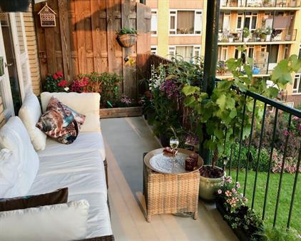 Apartment for rent 2250 euro Tolsteegplantsoen, Utrecht