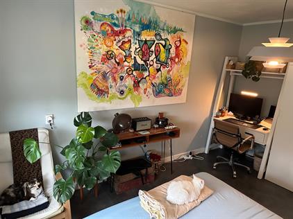 Room for rent 1750 euro Rietlandpark, Amsterdam
