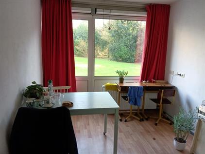 Room for rent 440 euro Witbreuksweg, Enschede