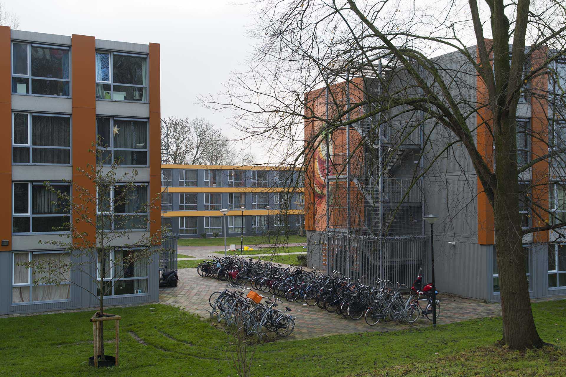 Darlingstraat