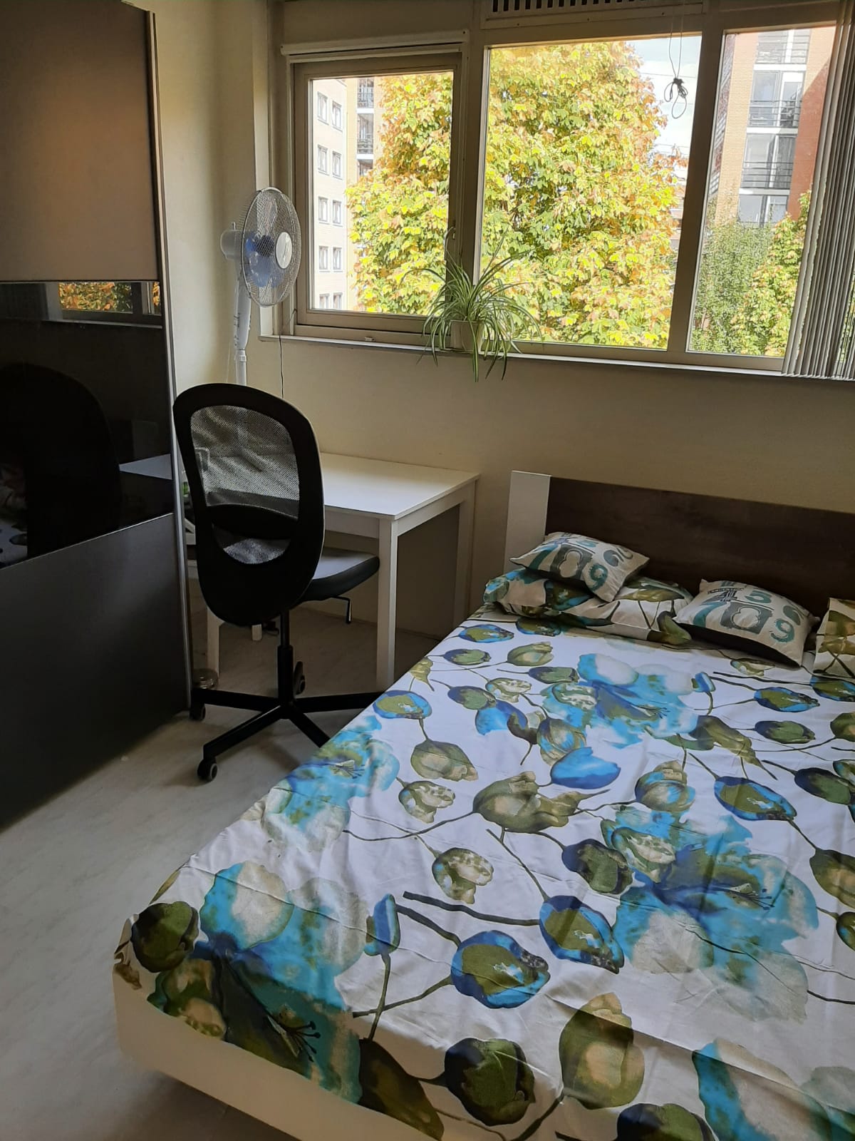 Kamer te huur in Hilversum – Gomarushof – foto 1