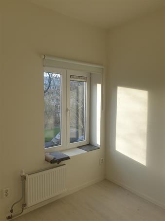 Studio bei Petrus Campersingel In Groningen