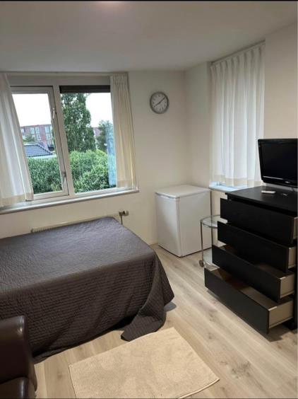 Room for rent 850 euro Mijlpaal, Den Haag