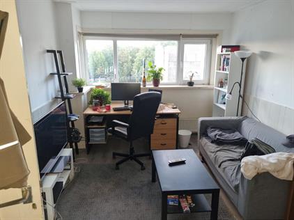 Room for rent 475 euro Van 't Hoffplein, Schiedam