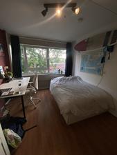 Room for rent 360 euro Oudraadtweg, Delft