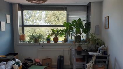 Dijkwacht, Leiderdorp