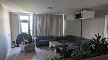 Room for rent 700 euro Prinses Beatrixlaan, Rijswijk