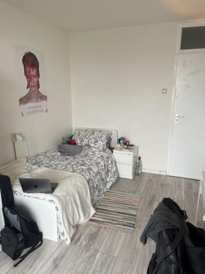 Room for rent 975 euro Wilgenhoek, Capelle aan den IJssel