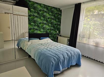 Room for rent 690 euro Henriette Roland Holstln, Rijswijk