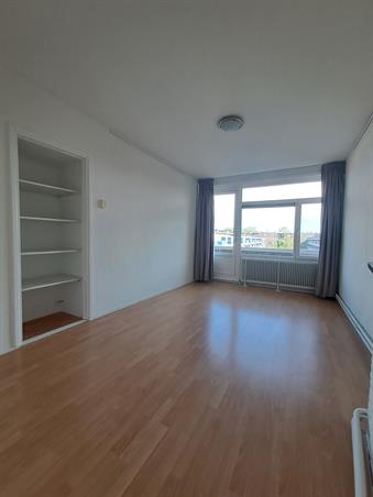 Zimmer bei Rivierenhof In Groningen