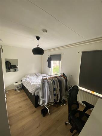 Zimmer bei Odysseuslaan In Eindhoven