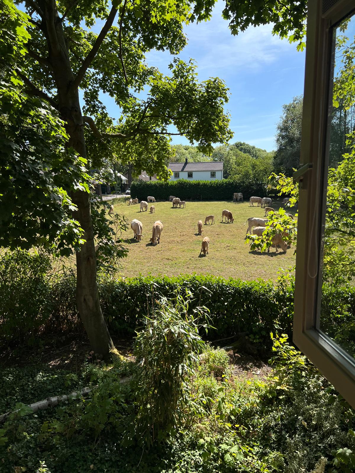 Kamer aan Haansberg, Etten-Leur 9