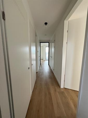 Kamer in Rotterdam, Rosestraat op Kamernet.nl: Modern 3-kamerappartement beschikbaar!