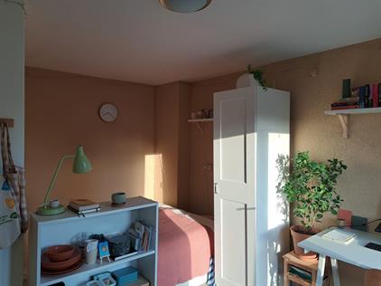 Room for rent 310 euro Tubantiasingel, Enschede