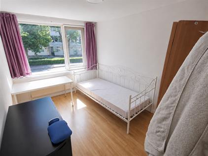 Room for rent 780 euro Ter Hofstadlaan, Someren