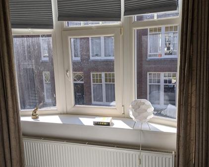 Esdoornstraat