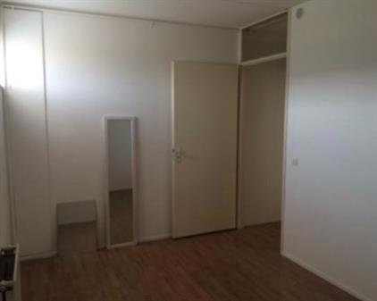 Room for rent 1000 euro Michelangelostraat, Almere