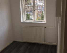 Room for rent 510 euro Tapuitstraat, Rotterdam