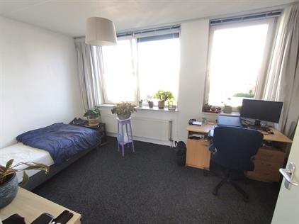 Room for rent 465 euro Perikweg, Enschede