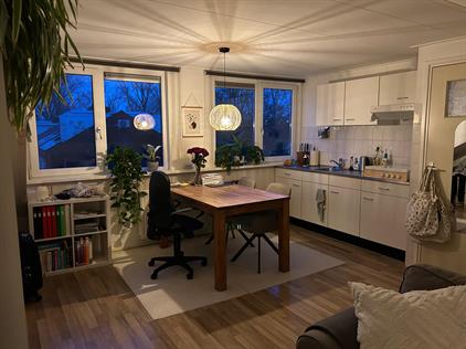 Room for rent 600 euro Siriusstraat, Groningen