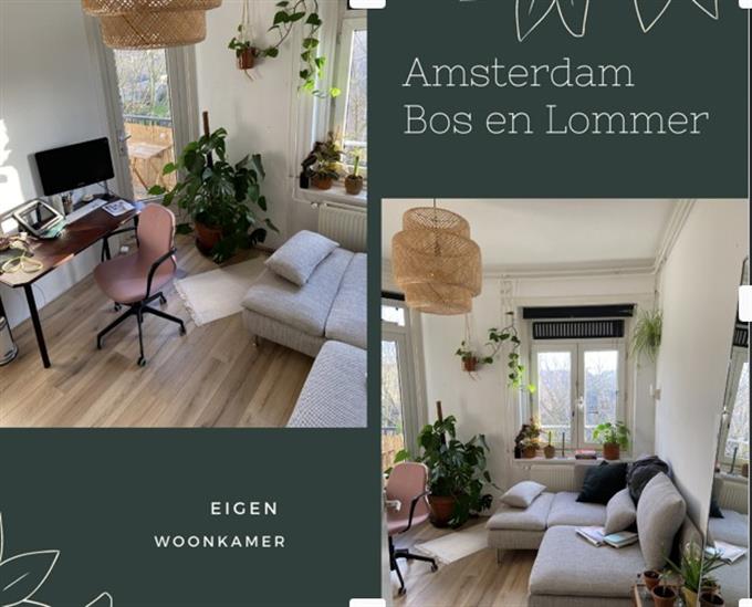 Zimmer bei Erik de Roodestraat In Amsterdam