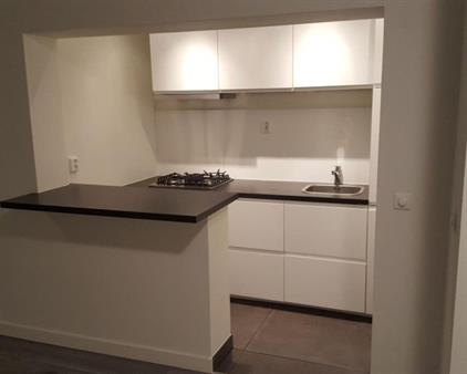 Studio for rent 1000 euro Tuindersstraat, IJmuiden