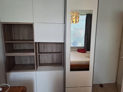 Room for rent 430 euro Haamstedestraat, Breda