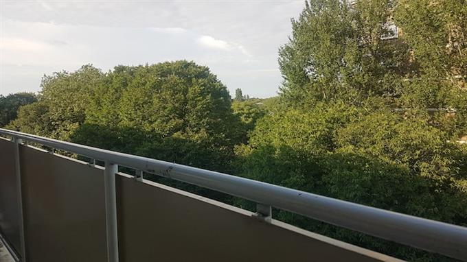 Zimmer bei Nieuwendamlaan In Den Haag