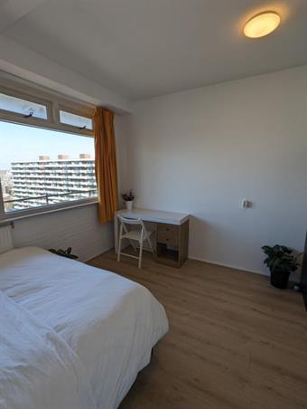 Zimmer bei Hendrik Tollensstraat In Delft