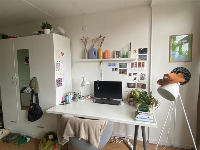 Zimmer bei Van Hasseltlaan In Delft