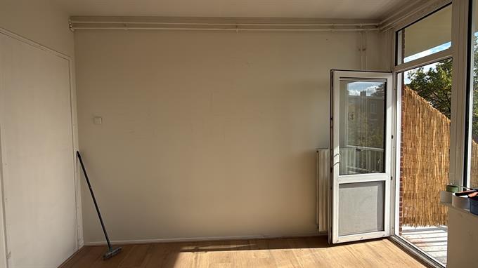Zimmer bei Asingastraat In Groningen
