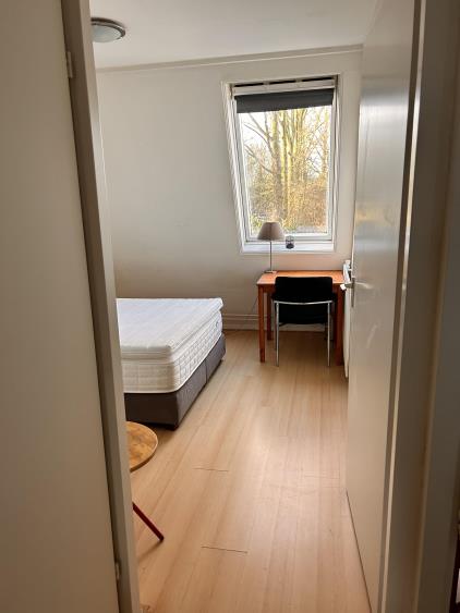 Room for rent 850 euro Grote Belt, Hoofddorp