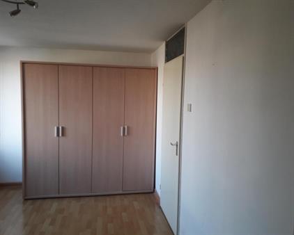 Room for rent 500 euro Agaatvlinder, Rotterdam