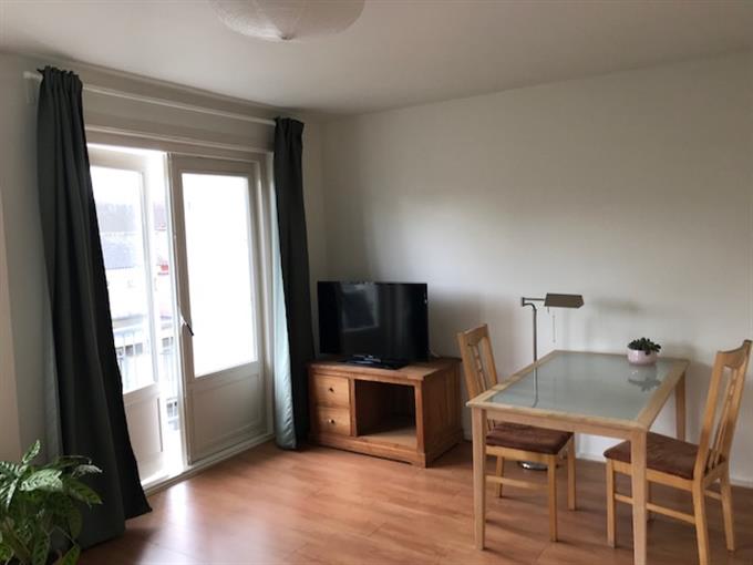 Kamer in Amsterdam, Geulstraat op Kamernet.nl: zonnig klein appartement te huur