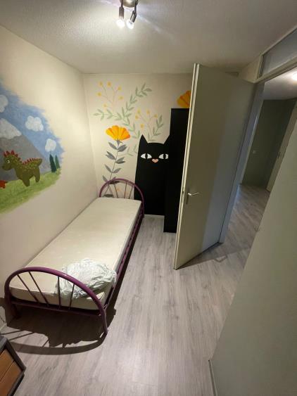 Room for rent 440 euro Roessinghsbleekweg, Enschede