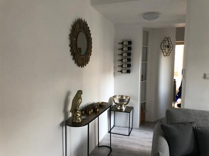 Studio for rent 1500 euro Westerbinnensingel, Groningen