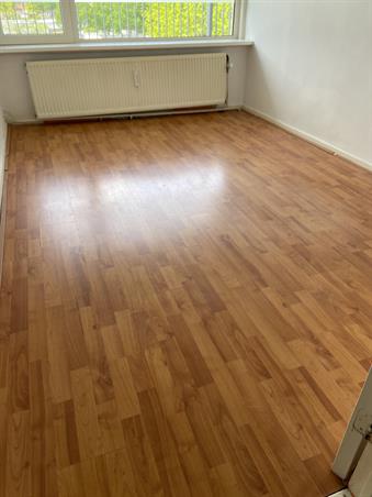 Zimmer bei Statenlaan In Tilburg
