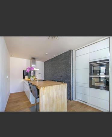 Zimmer bei Professor J.H. Gunningstraat In Amsterdam