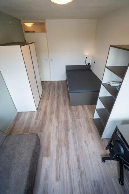 Room for rent 500 euro Zusterlaan, Delft
