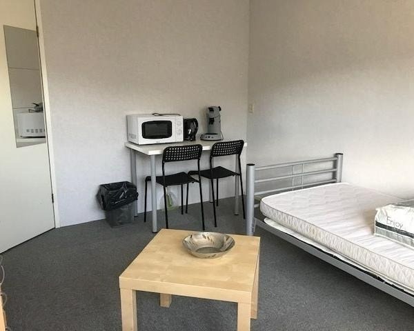 Kamer te huur in Leerdam – Palissade – foto 3