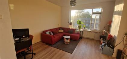 Apartment for rent 590 euro Juliana van Stolberghof, Leiden