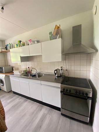 Zimmer bei Everaertstraat In Rotterdam