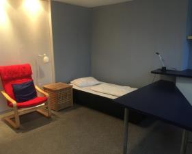 Room for rent 360 euro Oranje Plantage, Delft