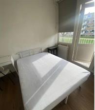 Room for rent 550 euro Europalaan, Tilburg