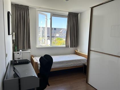 Room for rent 750 euro Tilly Luspad, Zaandam