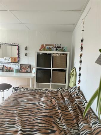 Zimmer bei Oude Velperweg In Arnhem